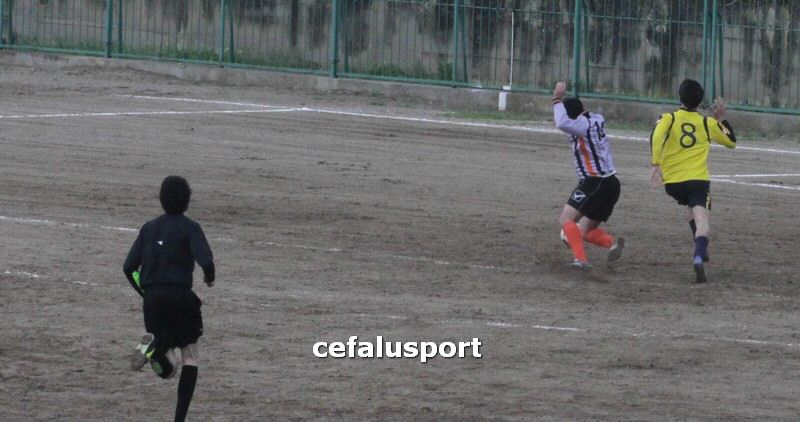 120310 stefanese 220y_tn.jpg
